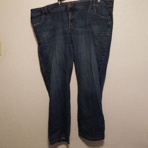 Venezia Lane Bryant Boot Cut Jeans 26